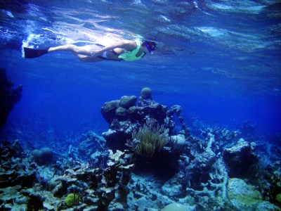 a person swimming in the water