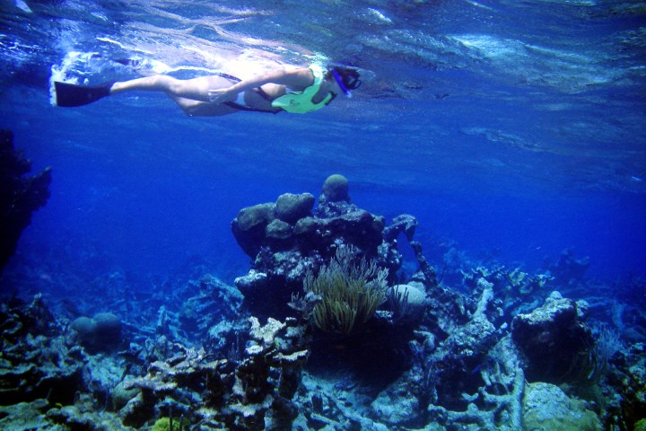 a person swimming in the water