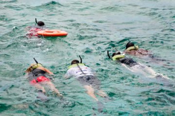 a group of people swimming in a body of water